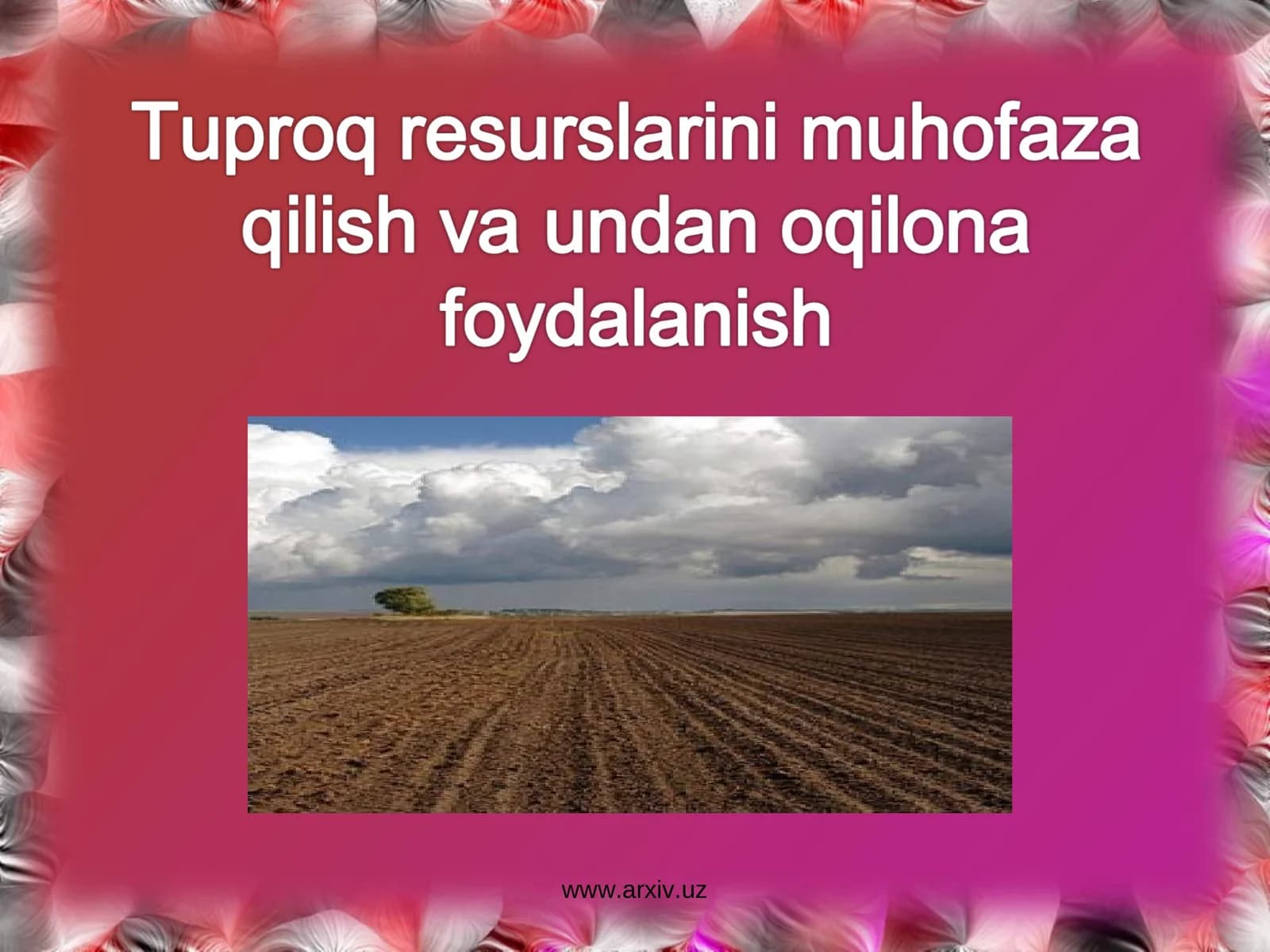 Tuproq haqida umumiy tushuncha