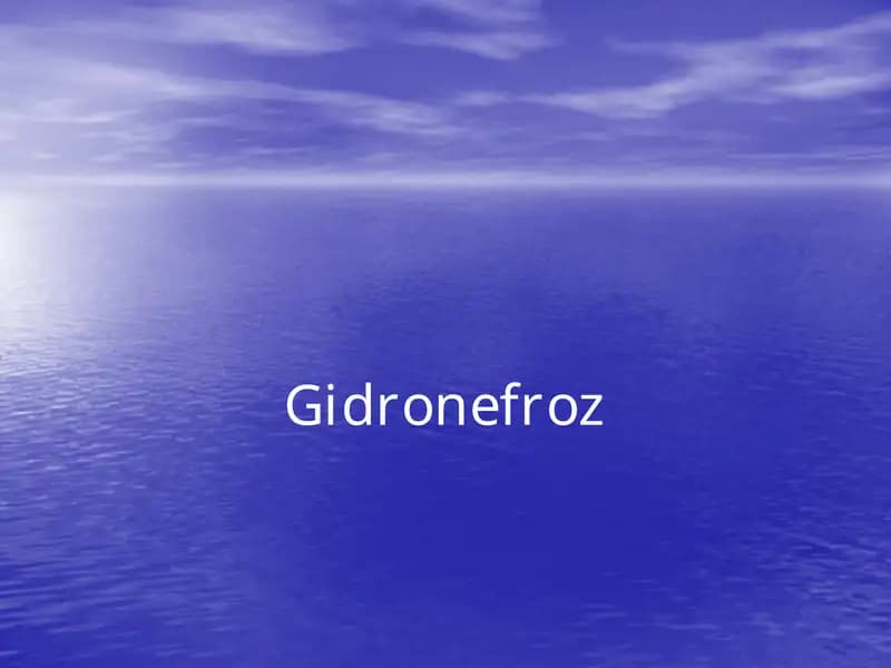Gidronefroz