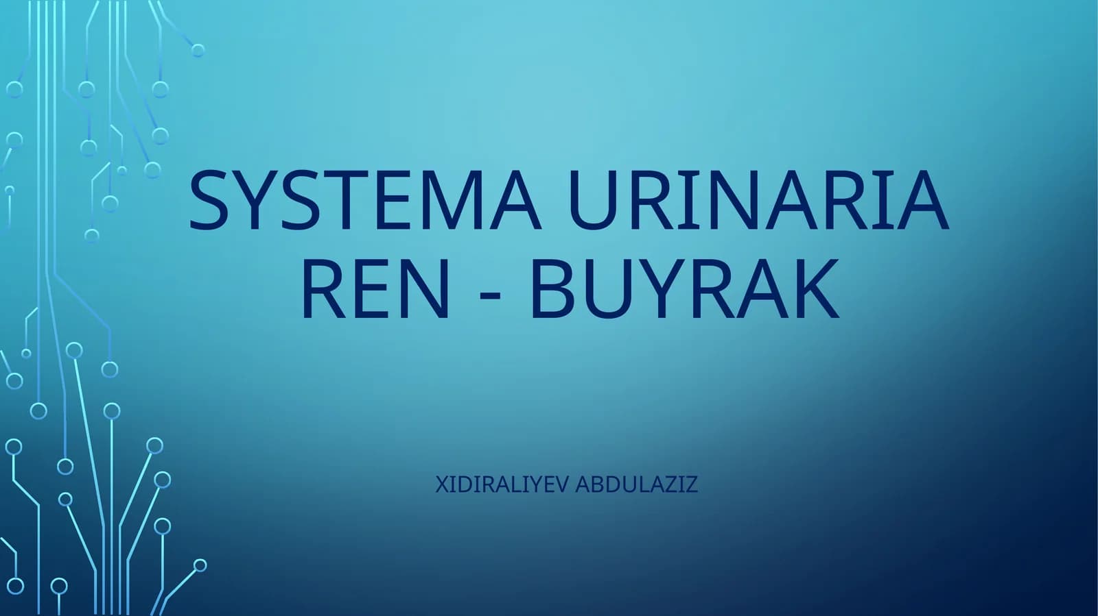 systema urinariya