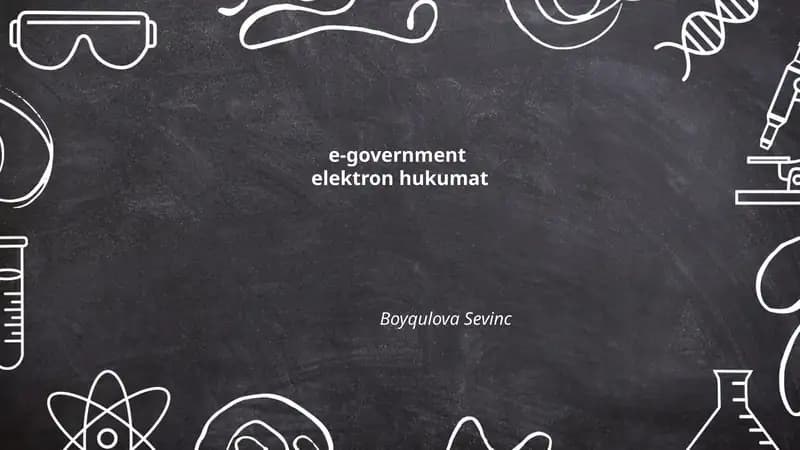 e-government elektron hukumat