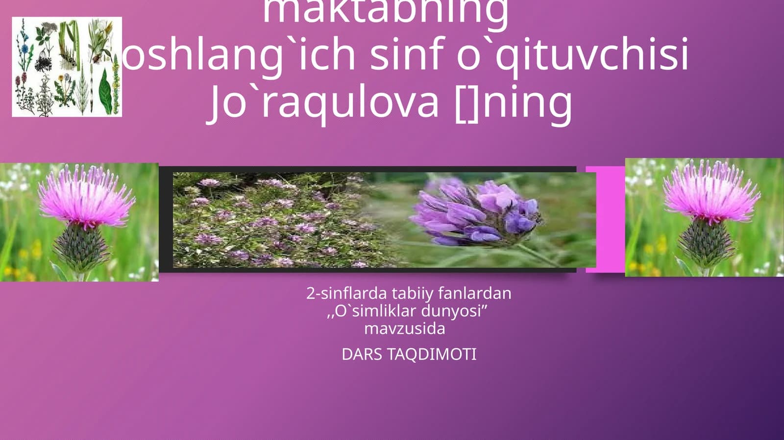O`simliklar dunyosi
