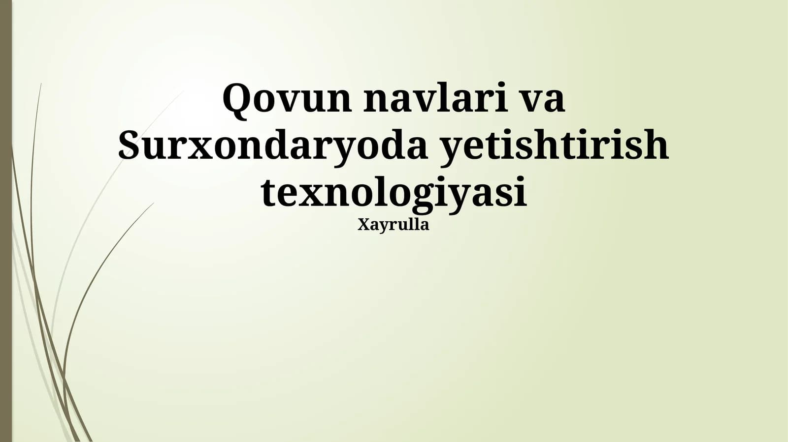 Qovun navlari va Surxondaryoda yetishtirish texnologiyasi