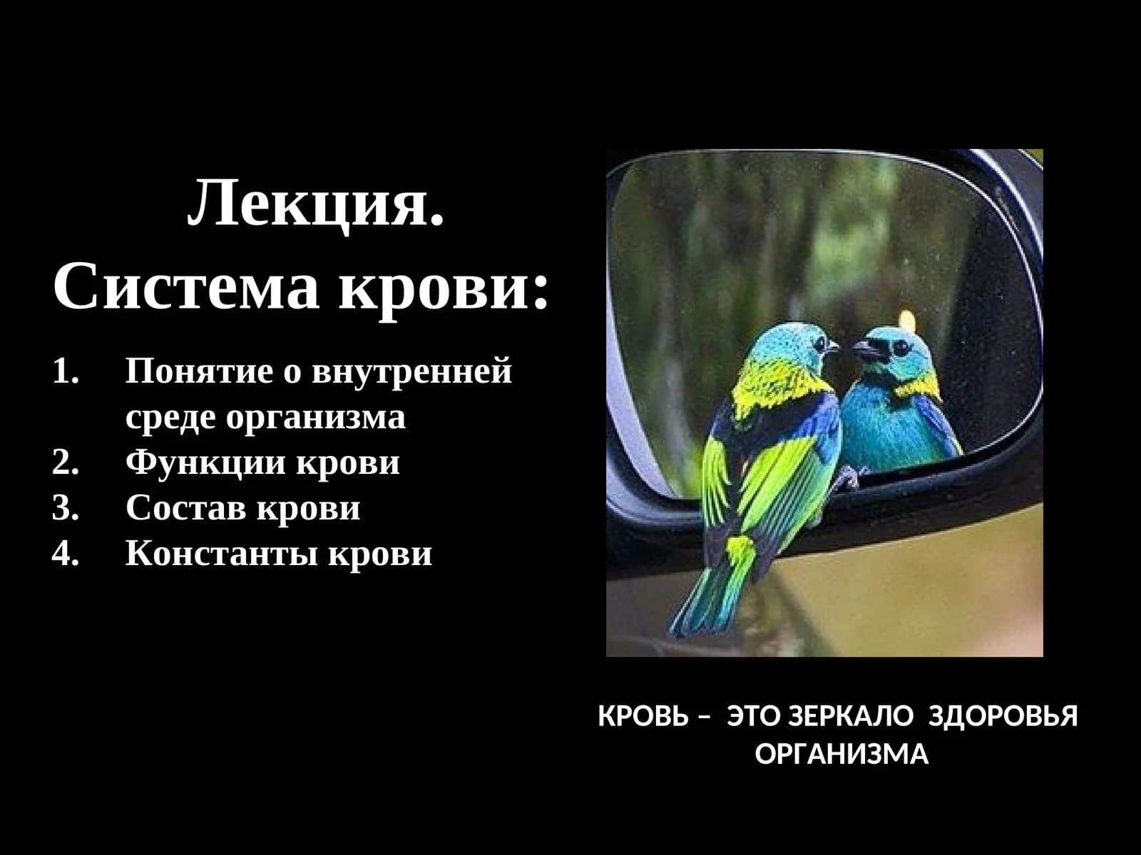 Кровь – это зеркало здоровья организма