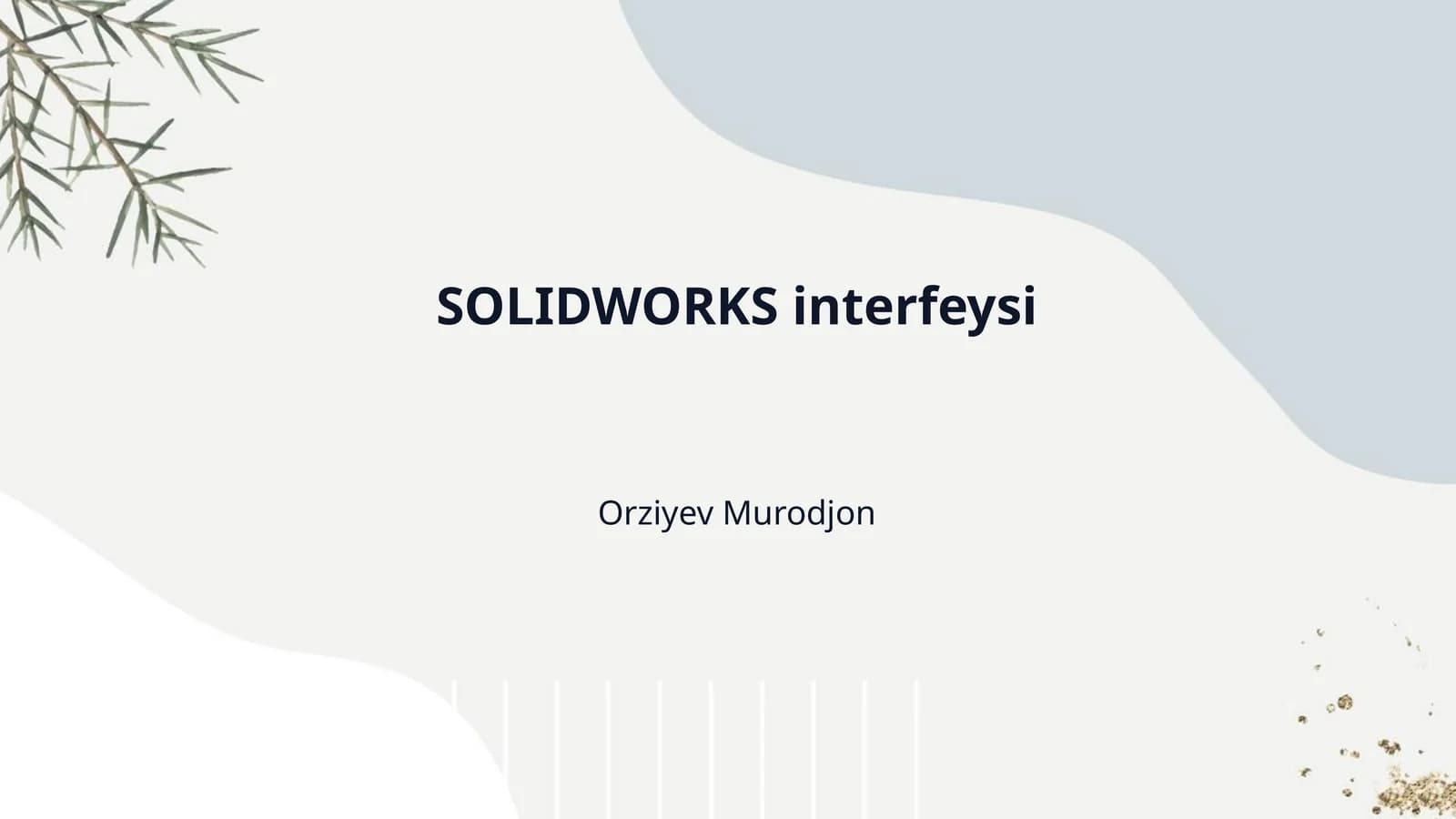 SOLIDWORKS interfeysi