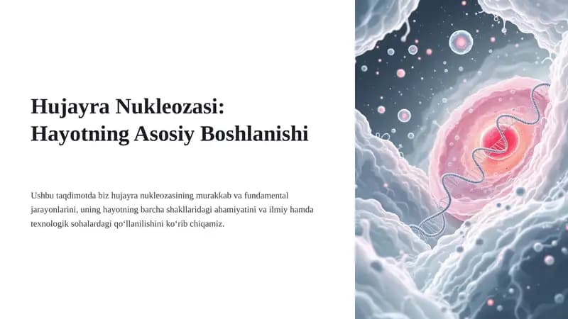 Hujayra Nukleozasi: Hayotning Asosiy Boshlanishi