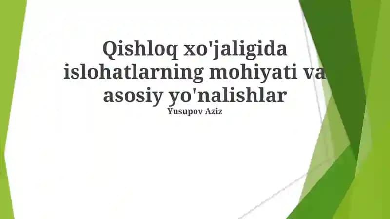 Qishloq xo'jaligida islohatlarning mohiyati va asosiy yo'nalishlar