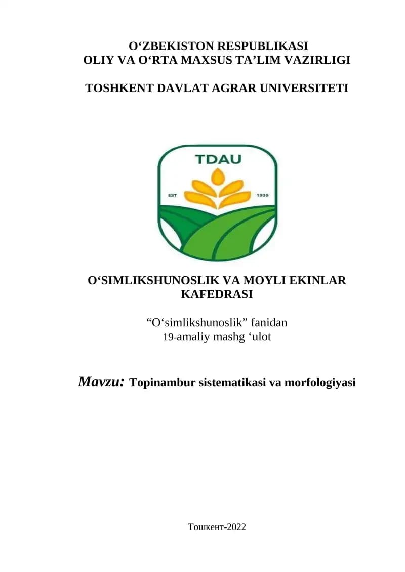 Topinambur sistematikasi va morfologiyasi