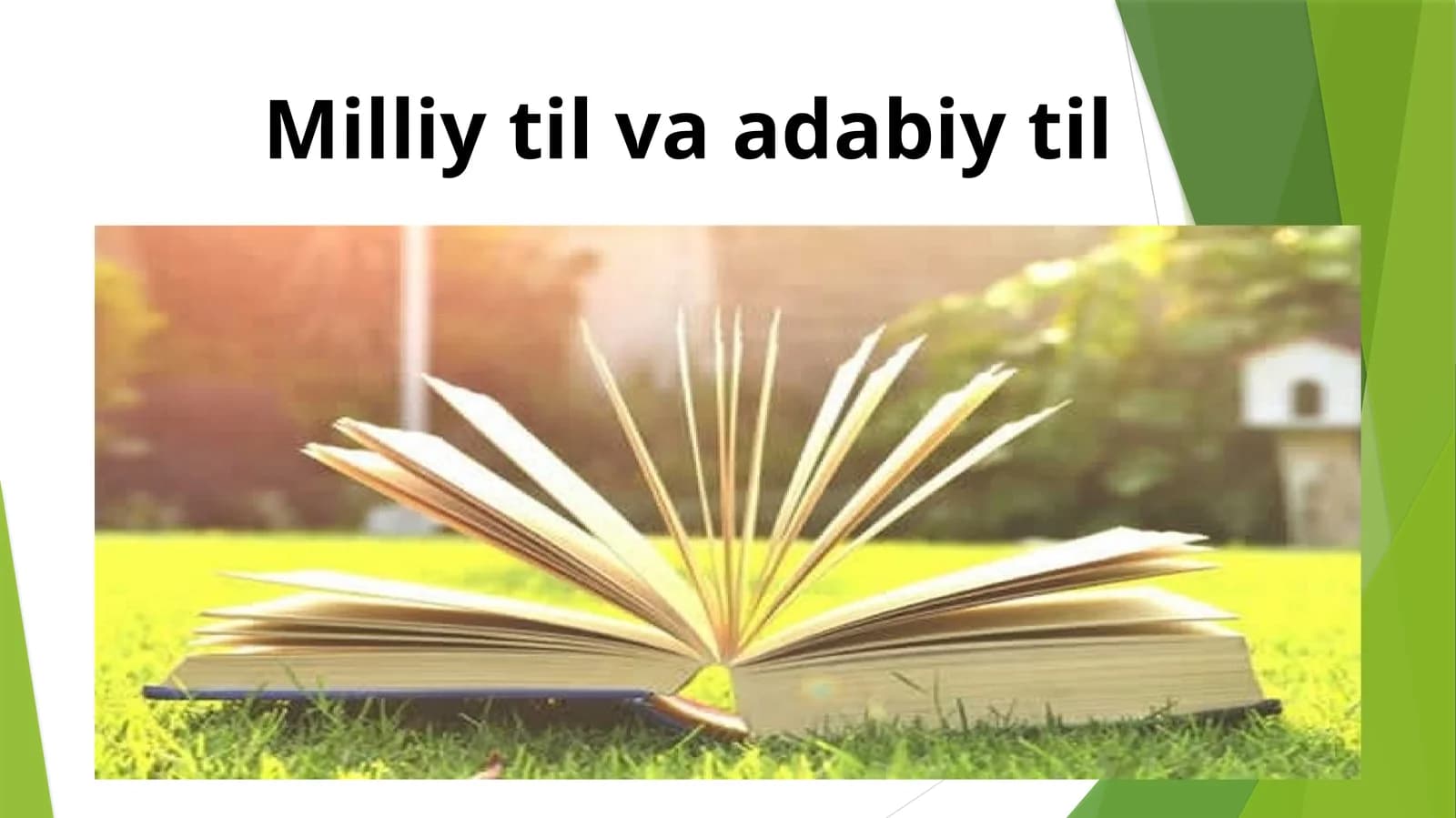 Milliy til va adabiy til