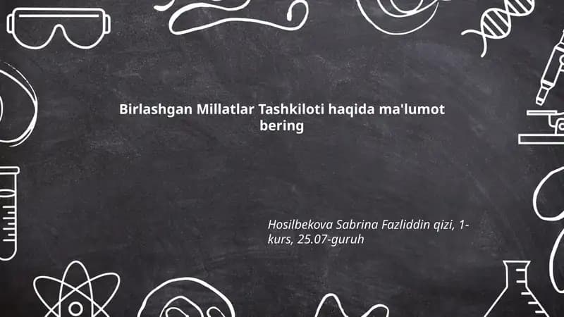 Birlashgan Millatlar Tashkiloti haqida ma'lumot