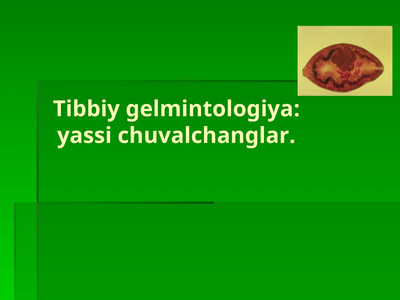 Tibbiy gelmintologiya:yassi chuvalchanglar