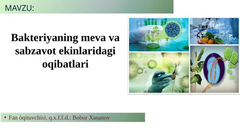 Bakteriyaning meva va sabzavot ekinlaridagi oqibatlari