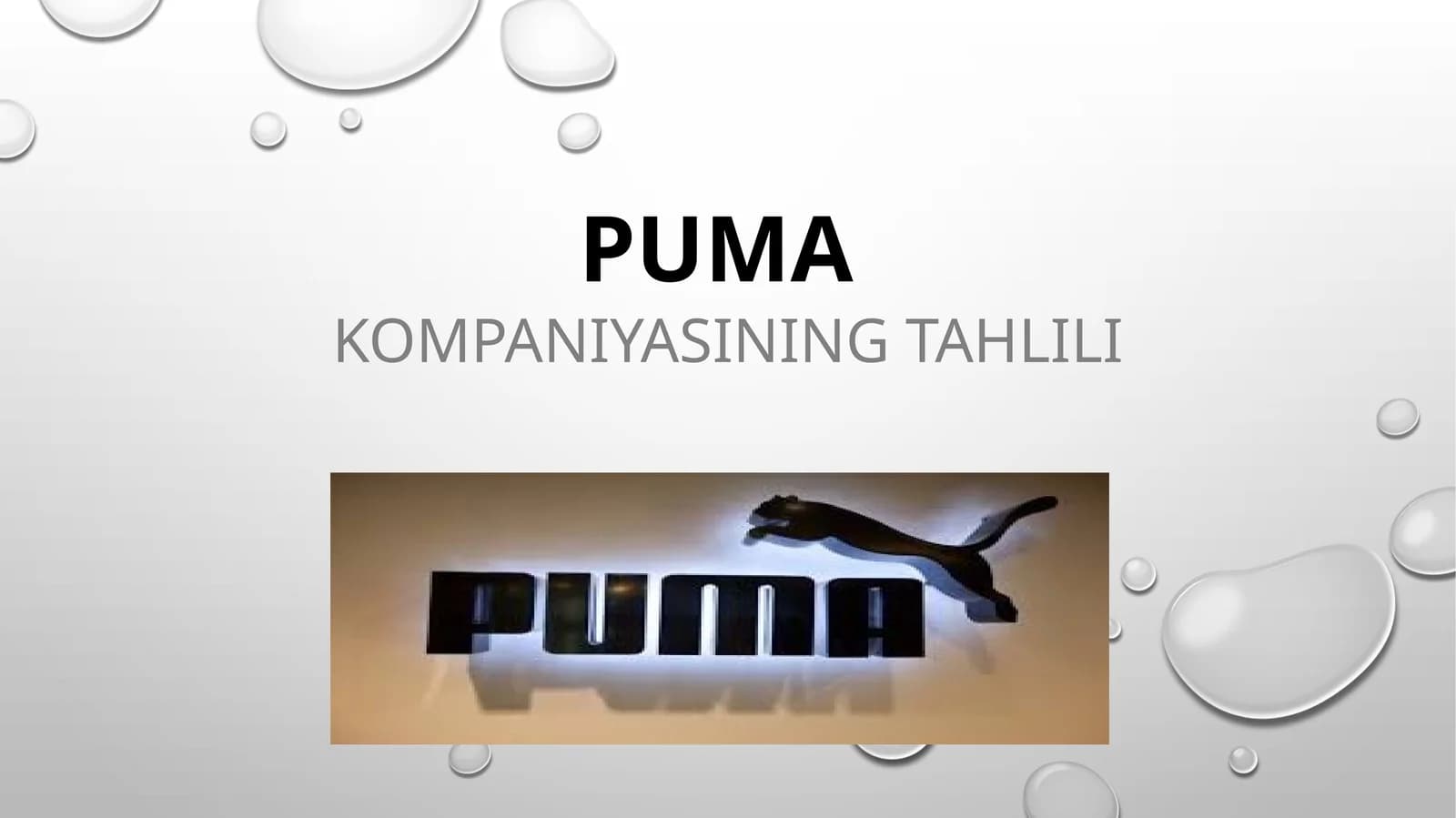 PUMA Kompaniyasining tahlili