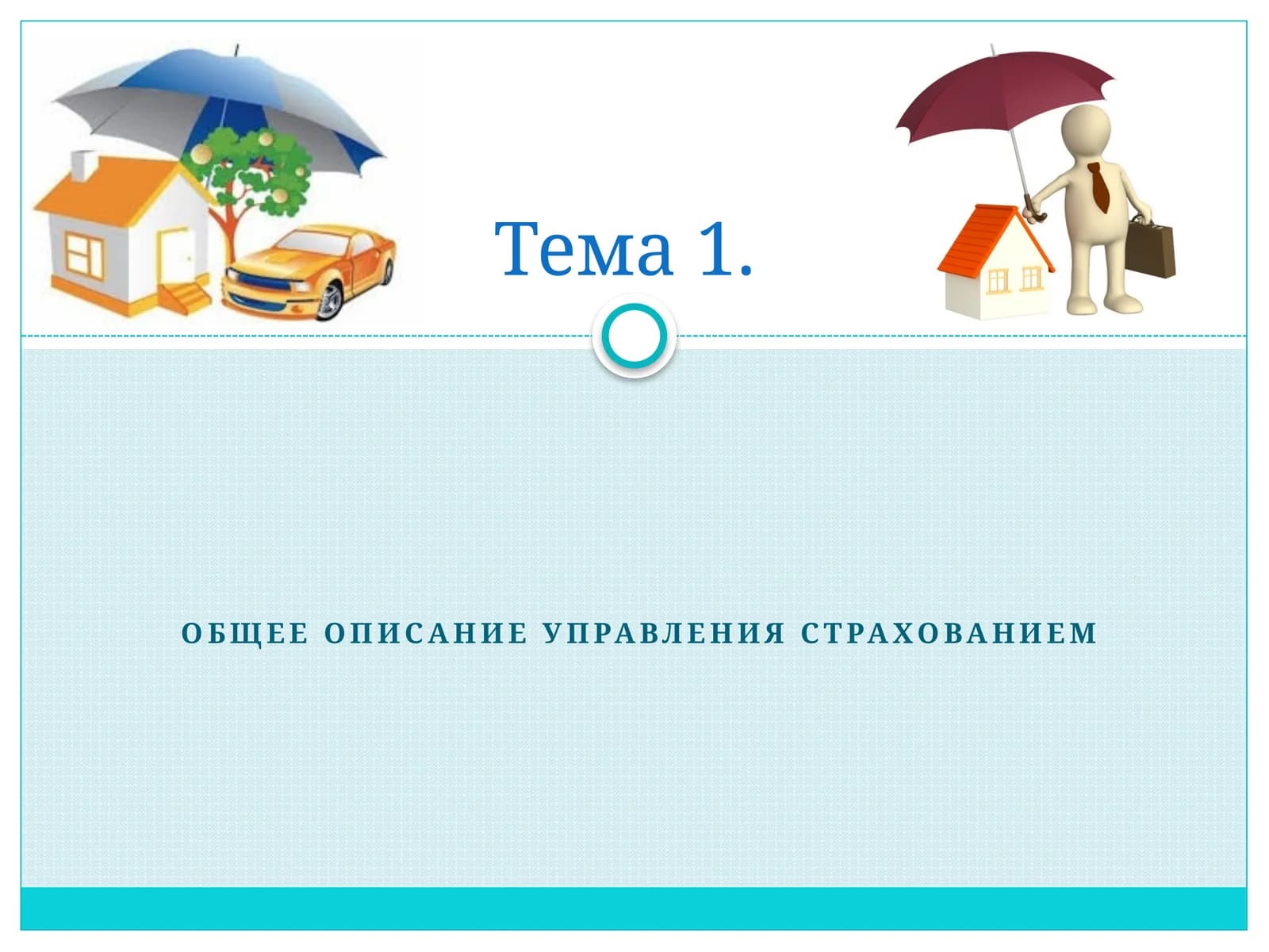 Общее описание управления страхованием