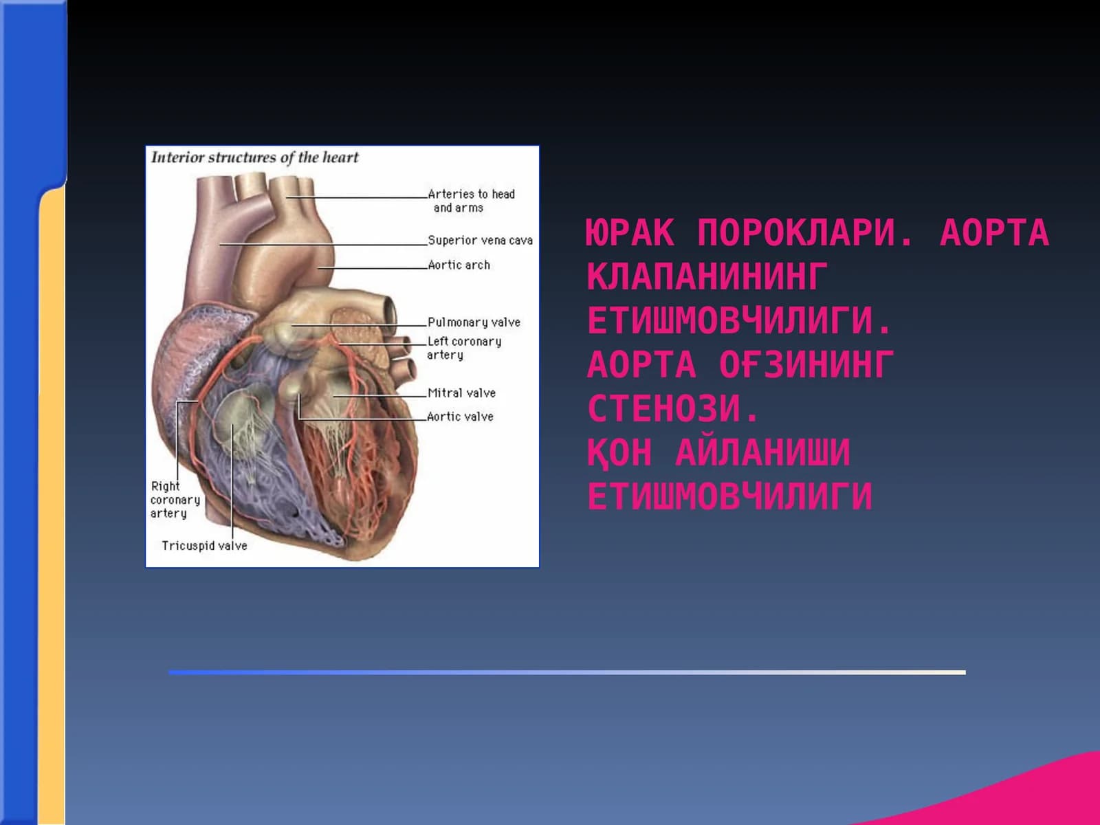 АОРТА КЛАПАНИНИНГ ЕТИШМОВЧИЛИГИ