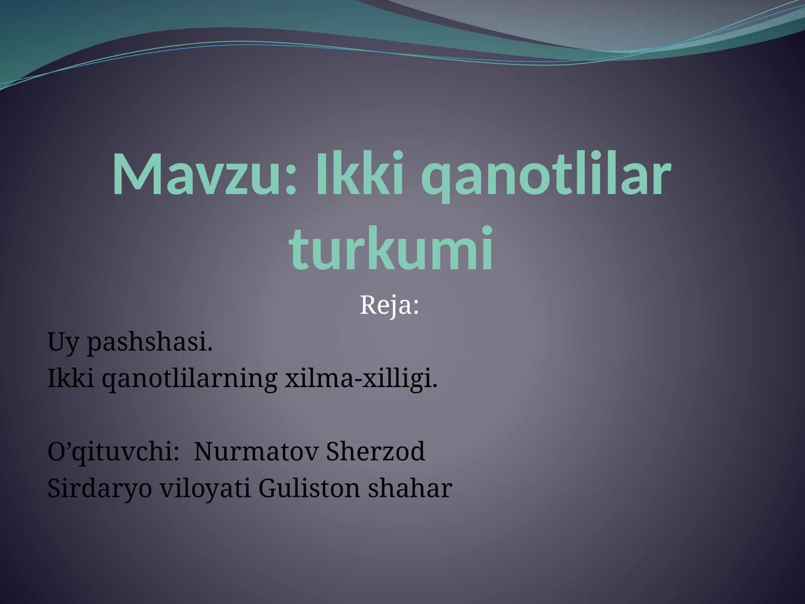 Ikkiqanotlilarturkumi