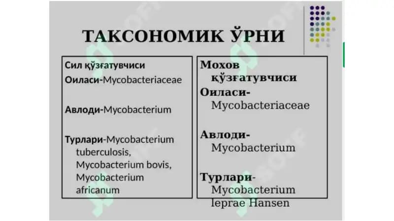 Moxov kasalligi