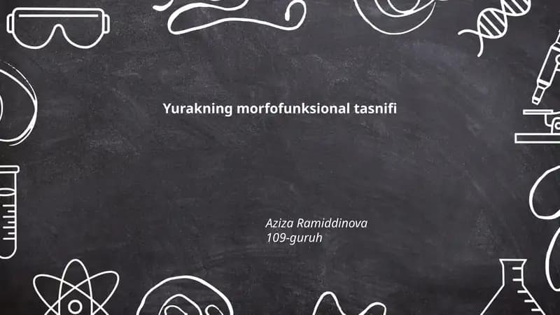 Yurakning morfofunksional tasnifi