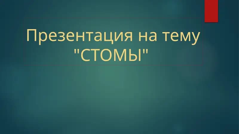 Презентация на тему"СТОМЫ"