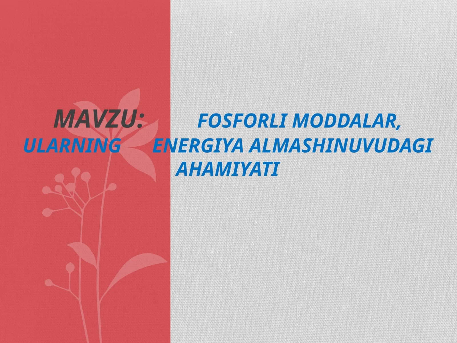 Fosforli moddalar, ularning energiya almashinuvidagi ahamiyati