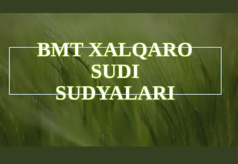 BMT xalqaro sudiyalari