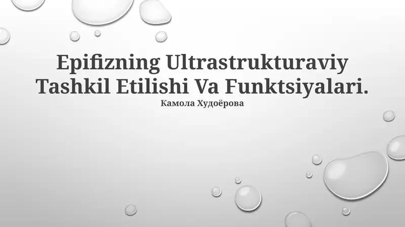 Epifizning Ultrastrukturaviy Tashkil Etilishi Va Funktsiyalari