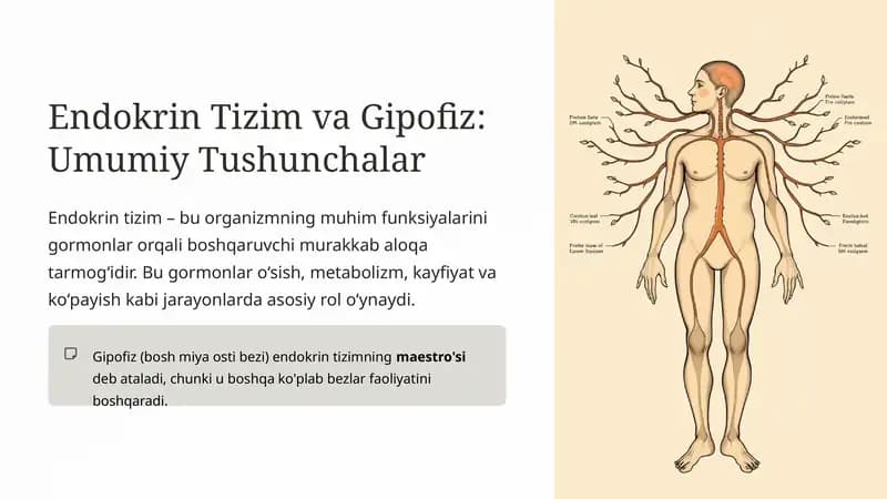 Endokrin Tizim va Gipofiz: Umumiy Tushunchalar
