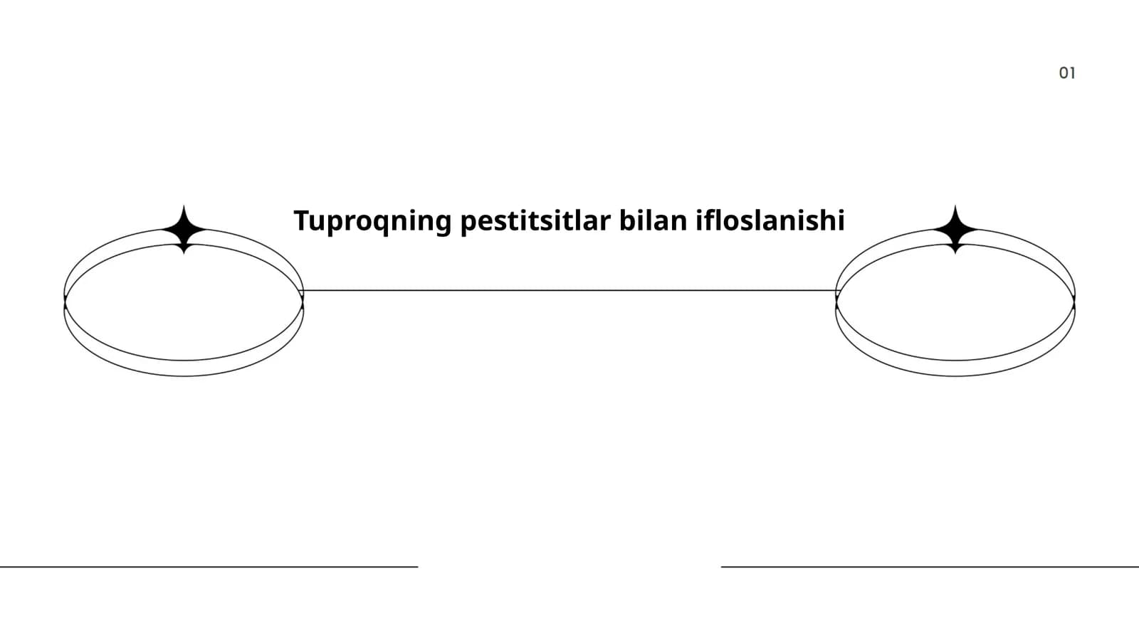 Tuproqning pestitsitlar bilan ifloslanishi