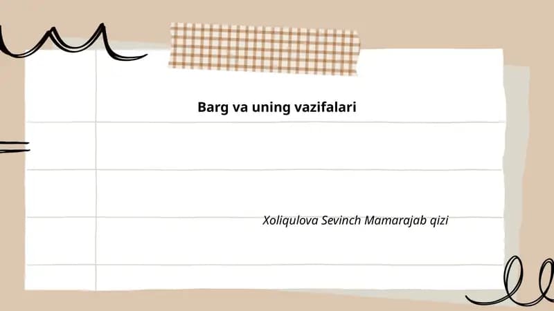 Barg va uning vazifalari