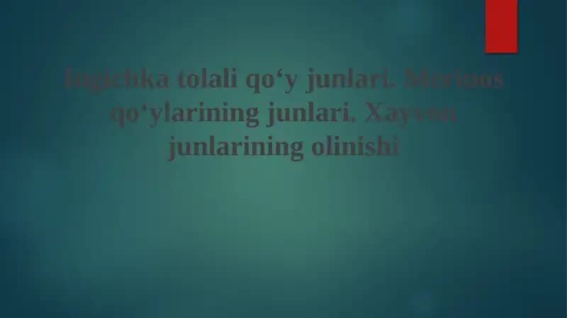 Nozik junli qo'ylar