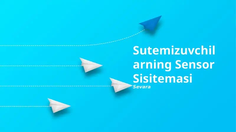 Somatosensor tizimi