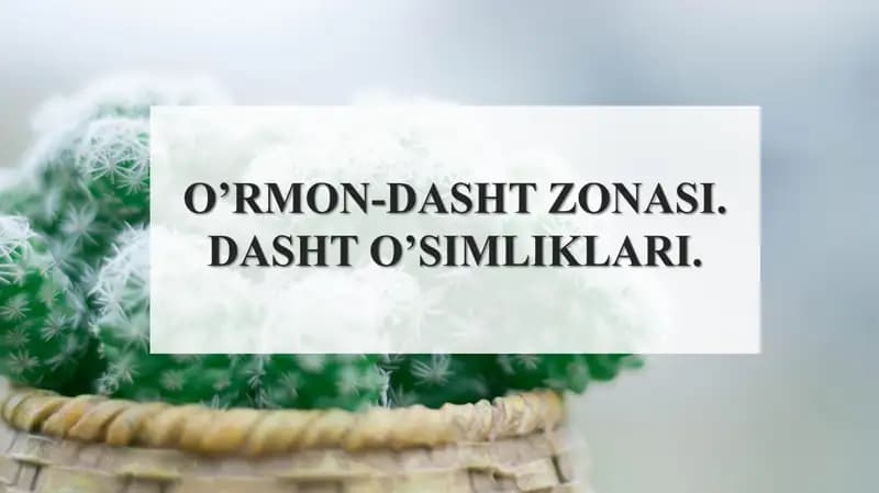 O’rmon-dasht zonasi