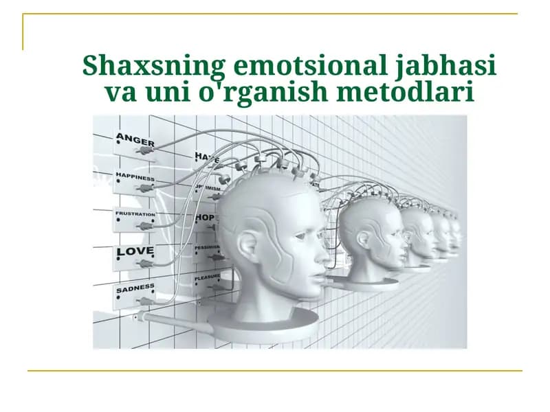 Shaxsning emotsional jabhasi va unga o'rganish metodlari