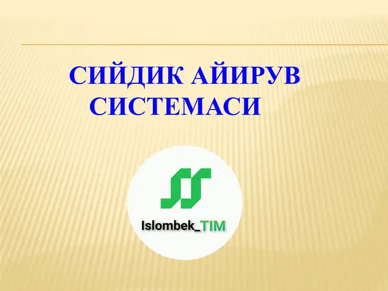 Сийдик Айирув Системаси