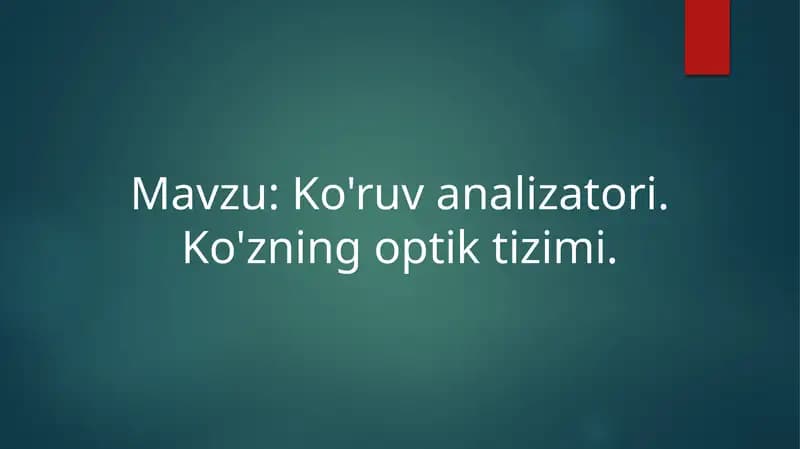 Ko'ruvanalizatori