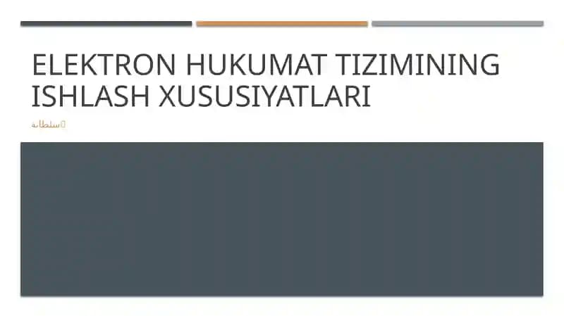 Elektron hukumat tizimining ishlash xususiyatlari