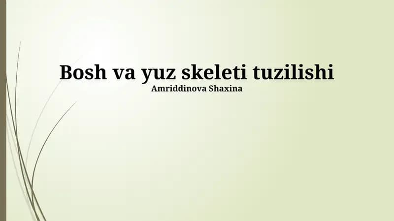 Bosh va yuz skeleti tuzilishi