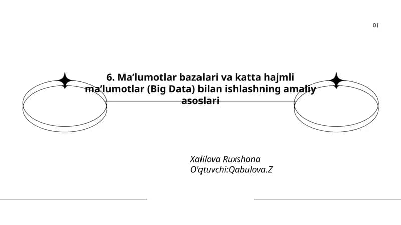 Ma'lumotlar bazalari va katta hajmli ma'lumotlar (Big Data) bilan ishlashning amaliy asoslari