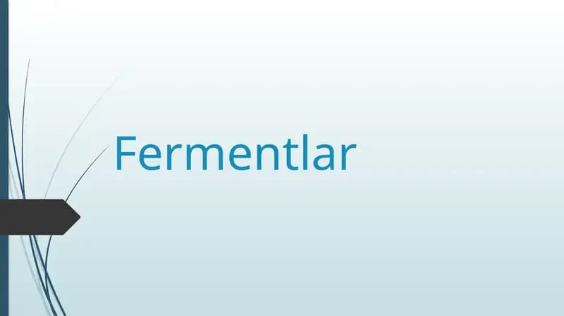 Fermentlar