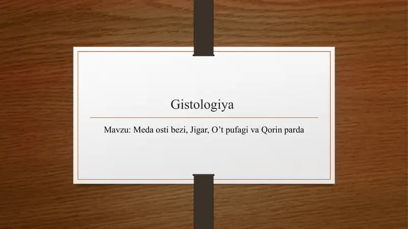 Meda osti bezi, Jigar, O’t pufagi va Qorin parda