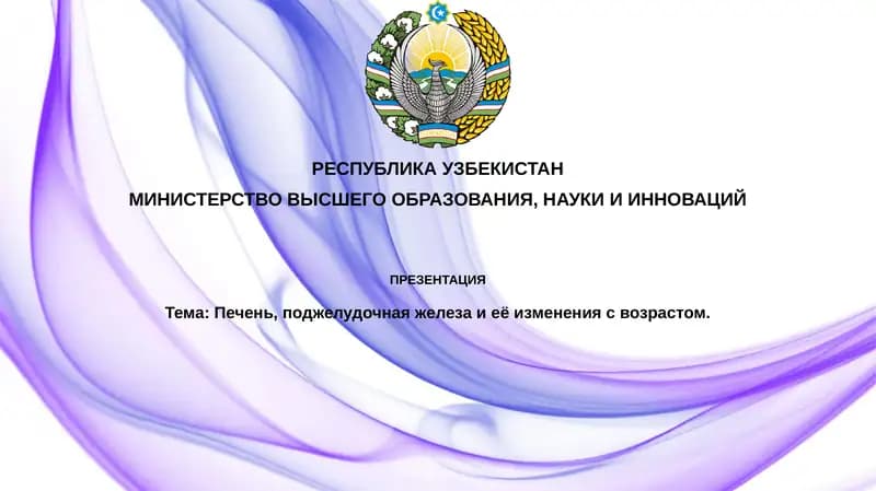 Печень, поджелудочная железа и её изменения с возрастом