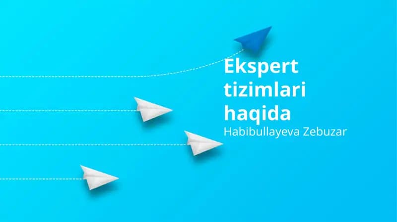 Ekspert tizimlari haqida