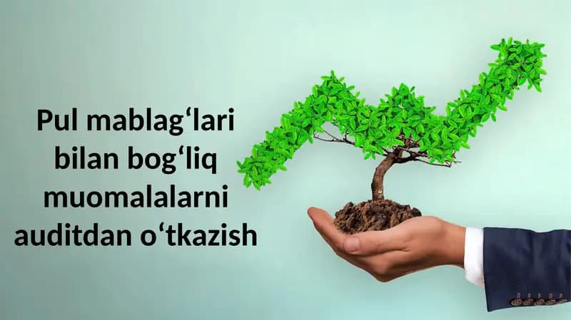 Pul mablag‘lari bilan bog‘liq muomalalarni auditdan o‘tkazish