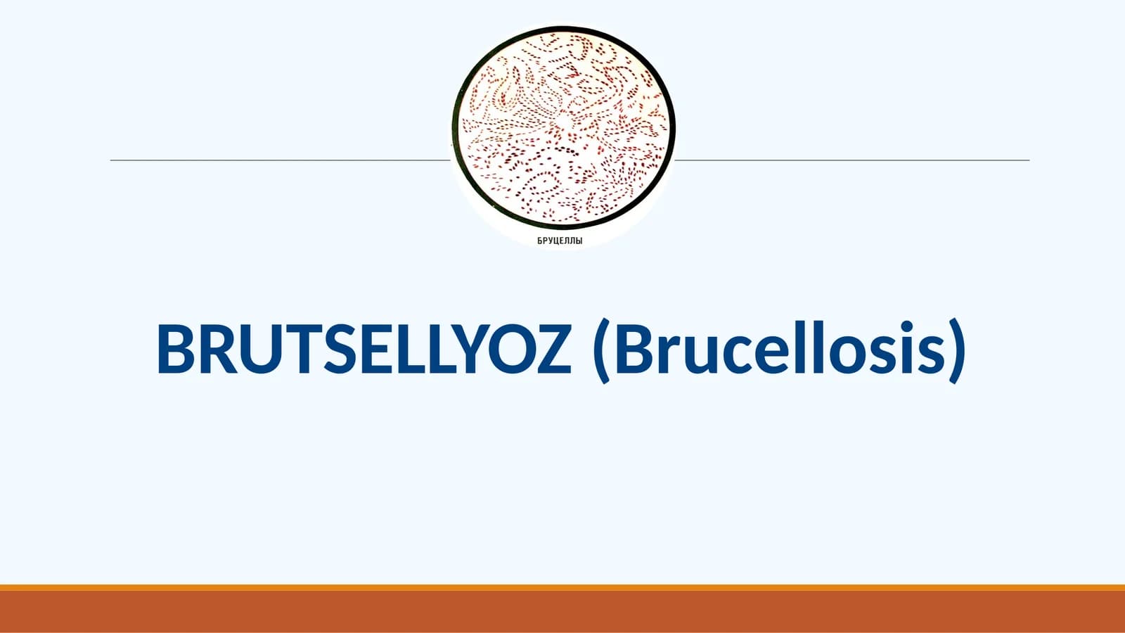 BRUTSELLYOZ
