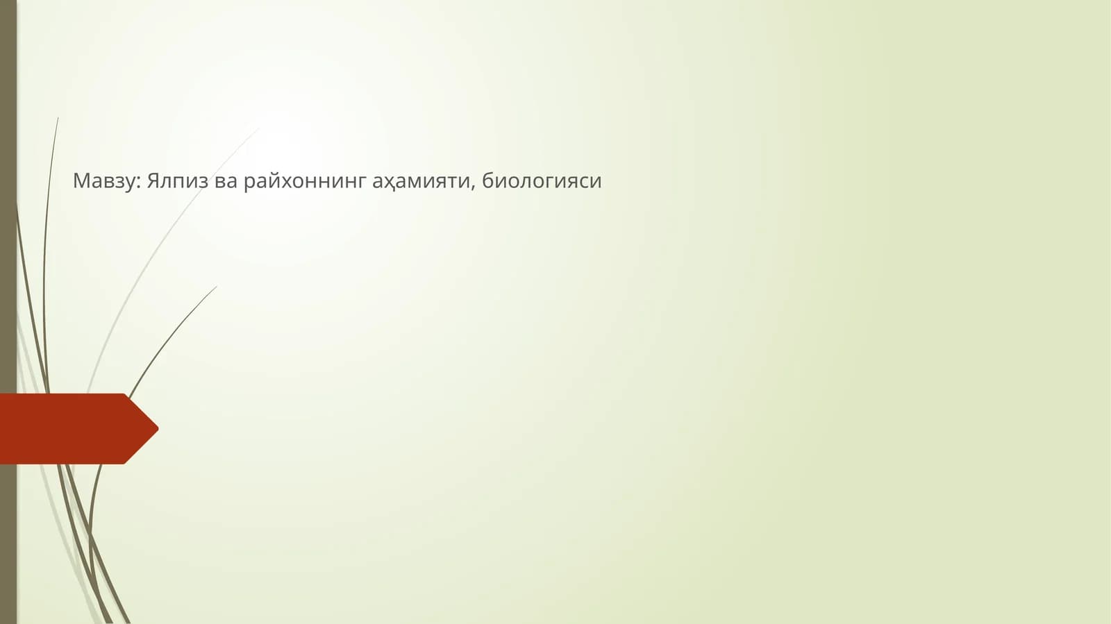 Ялпиз ва райхоннинг аҳамияти, биологияси