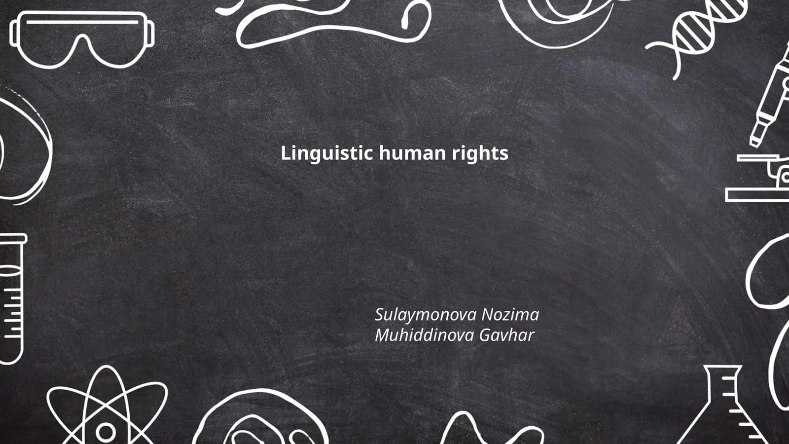 Linguistic Human Rights