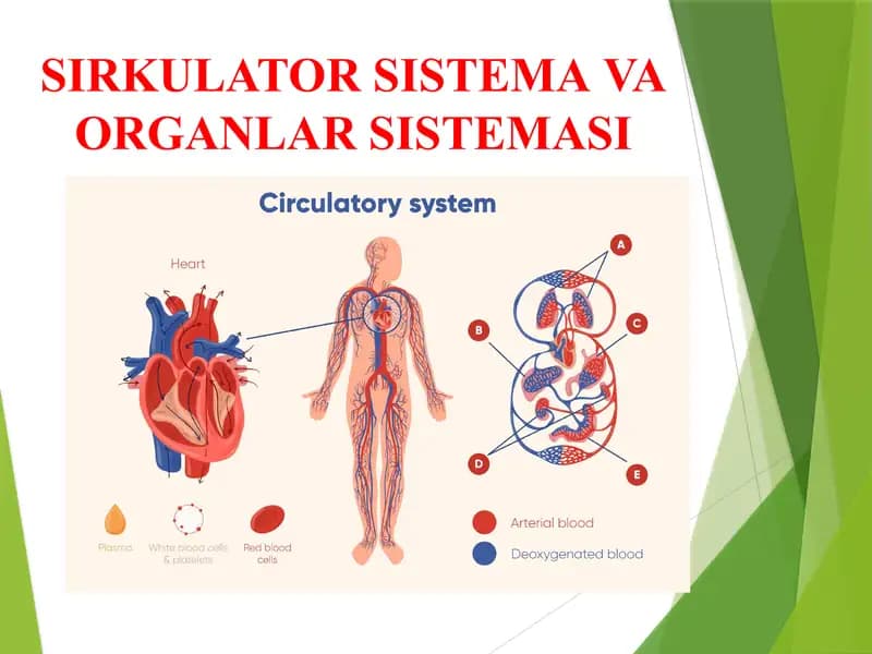 SIRKULATOR SISTEMA VA ORGANLAR SISTEMASI