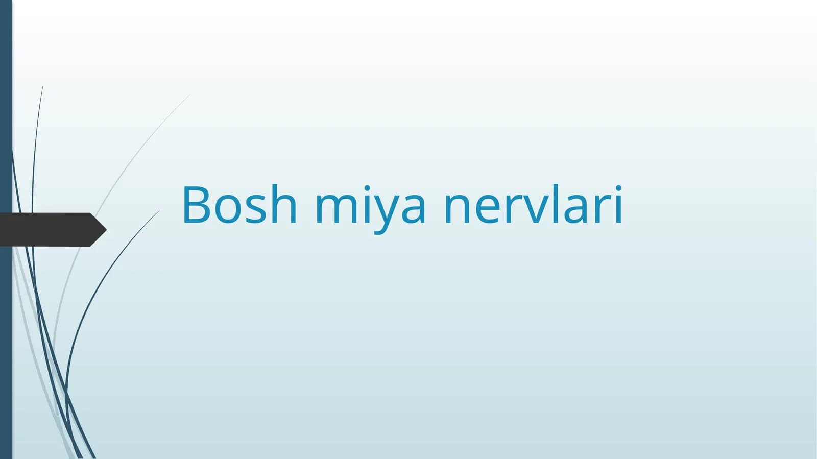 Boshmiyanervlari