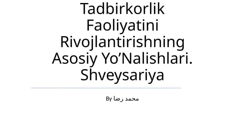 Tadbirkorlik Faoliyatini Rivojlantirishning Asosiy Yo’Nalishlari. Shveysariya