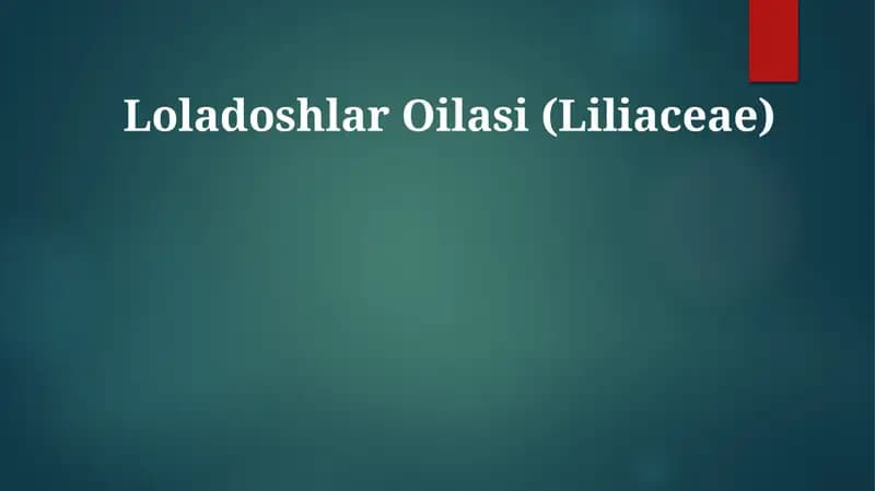Loladoshlar Oilasi (Liliaceae)