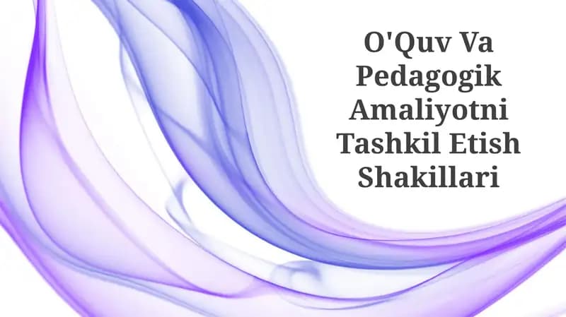 O'Quv Va Pedagogik Amaliyotni Tashkil Etish Shakillari
